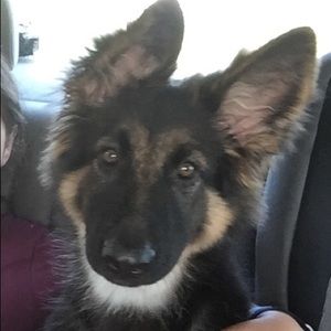 Meet your Posher, Janet